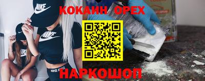 гашик Будённовск