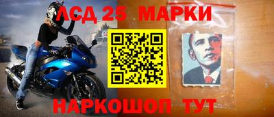 гашик Будённовск