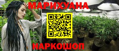 гашик Будённовск