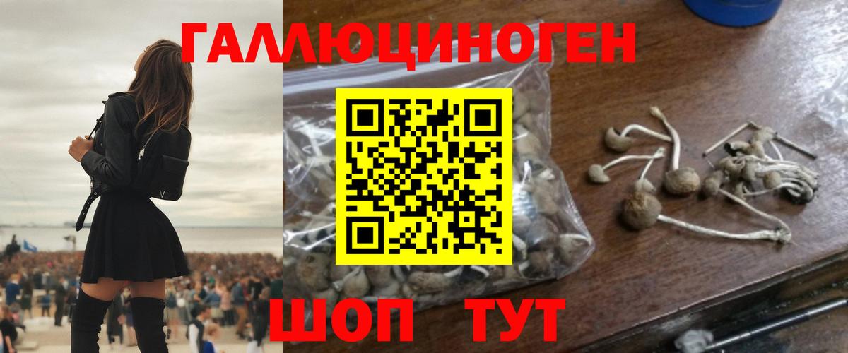 Галлюциногенные грибы Psilocybine cubensis Серов